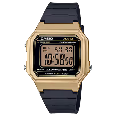 CASIO CLASSIC W217HM-9AV