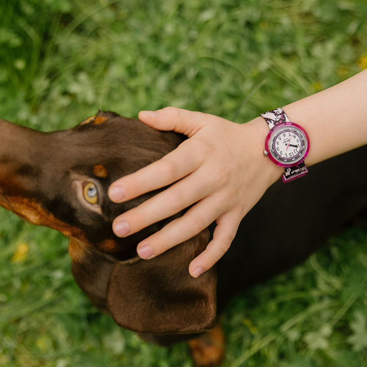 WOOF WOOF TIME