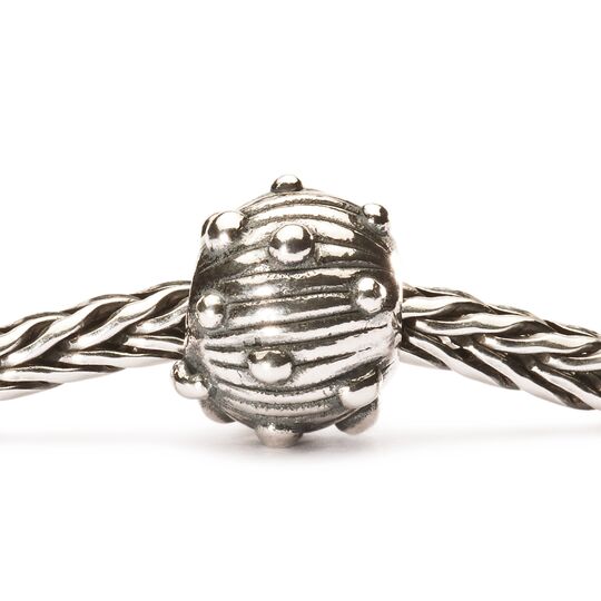 Silver Sea Urchin
