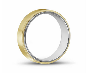 Matte & Shiny Steel Ring 7mm