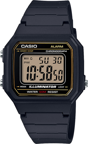 Casio W217H-9AV Classic Watch