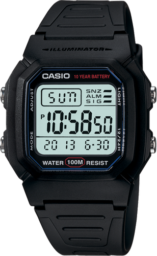 Casio W800H-1AV Classic Watch